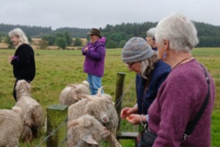 Pasquarella's wool tour